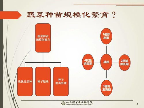 党建引领谋发展 科技助农备春耕 网络课堂开启工厂化育苗知识小百科