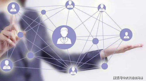 企业网站制作费用差异在哪里？深入解析互联网上网服务的成本因素