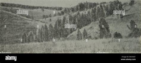 创业新领域 圣魔之血引领市场风向——动漫产业的信息网络运营新路径